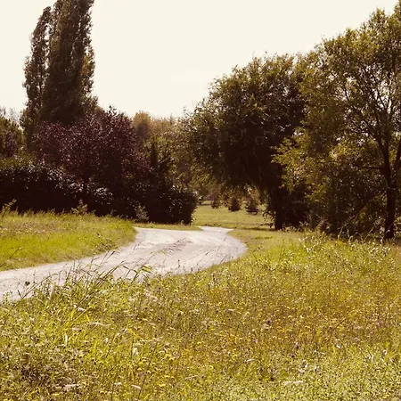 La Casa Nel Gelso 公寓 *